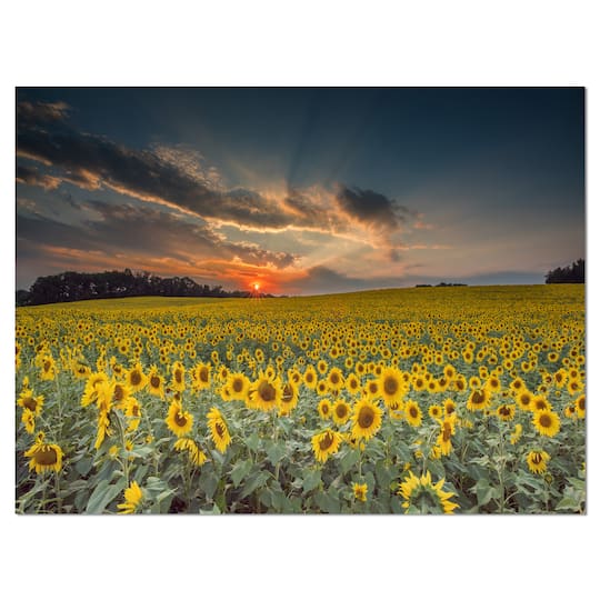 Designart - Sunflower Sunset with Cloudy Sky
